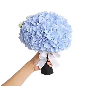 Sapphire Bloom Whisper