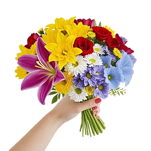 Blossom Harmony Display