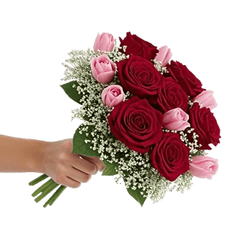 Crimson Rose Elegance