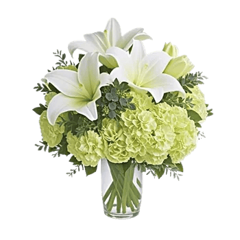 Ivory Blossom Radiance