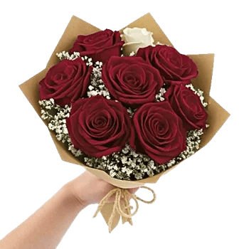 Crimson Rose Elegance