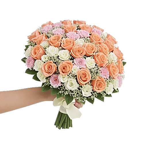 Blushing Rose Symphony