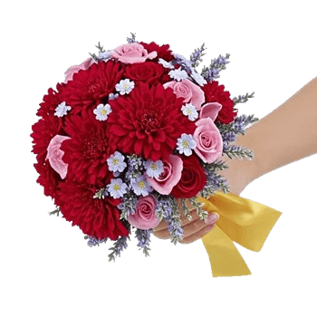 Crimson Rose Elegance
