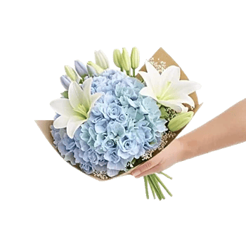 Serene Petal Harmony