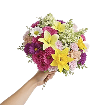 Blossom Harmony Display