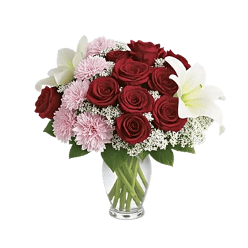 Crimson Rose Elegance