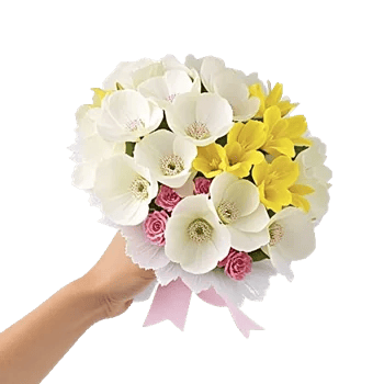 Delicate Petal Cascade