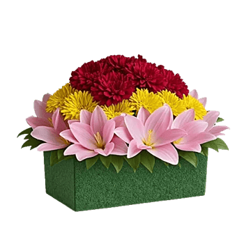 Graceful Lily Display