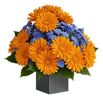 Vibrant Orange Delight