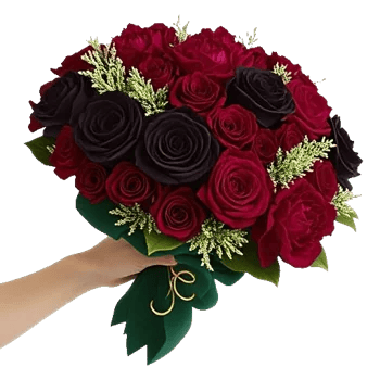 Crimson Rose Elegance
