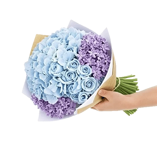 Serene Petal Harmony