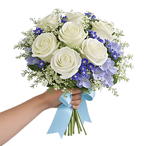 Serene Petal Harmony