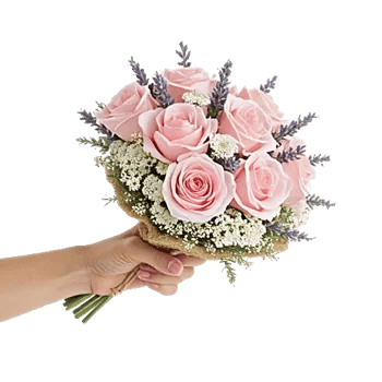 Pink Pastel Roses