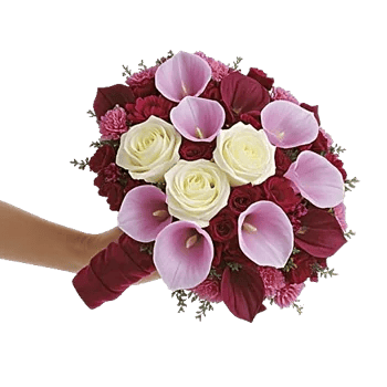 Elegant Calla Lilies