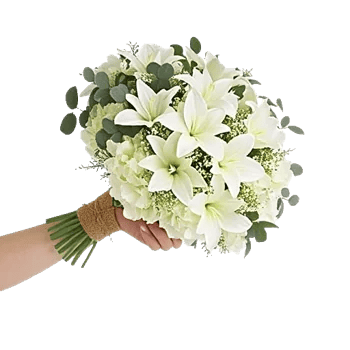 Delicate Petal Cascade