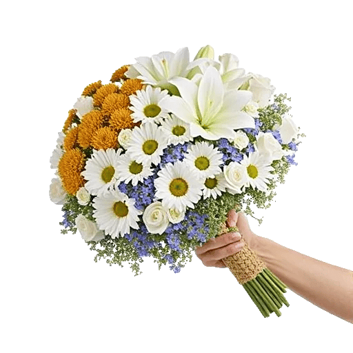 Ivory Garden Grace