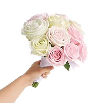 Blushing Rose Symphony