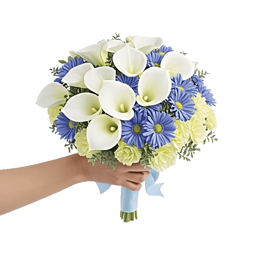 Elegant Calla Lilies