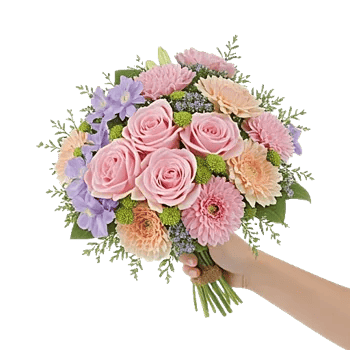 Pastel Pink Roses