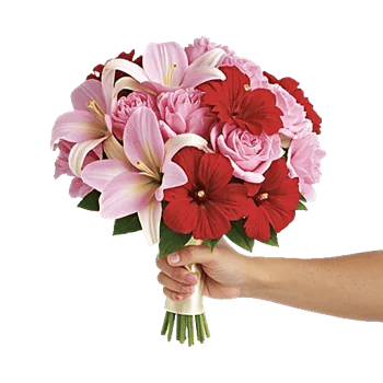 Blossom Harmony Display