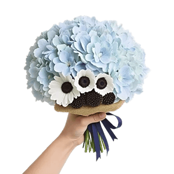 Sapphire Bloom Whisper