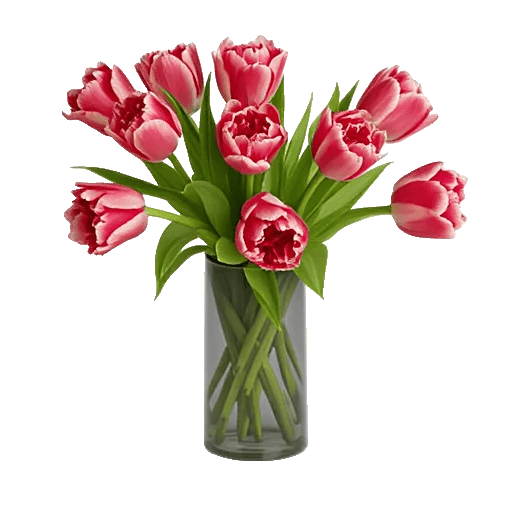 Velvet Tulip Display