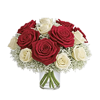 Crimson Rose Elegance