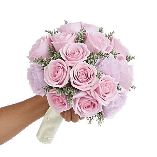 Pastel Pink Roses