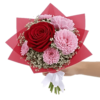 Crimson Rose Elegance