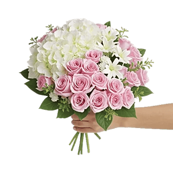 Serene Petal Harmony