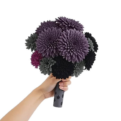 Modern White Orchids