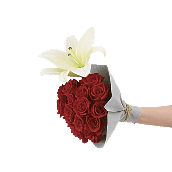 Crimson Rose Elegance