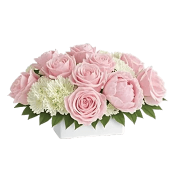 Delicate Petal Cascade