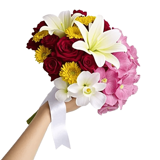 Blossom Harmony Display