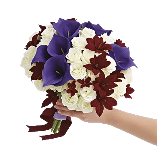 Elegant Calla Lilies