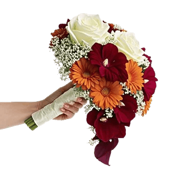 Delicate Petal Cascade