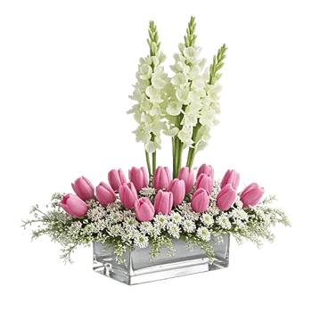 Blossom Petal Serenity