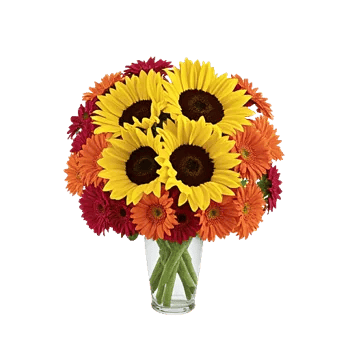 Radiant Bloom Cascade