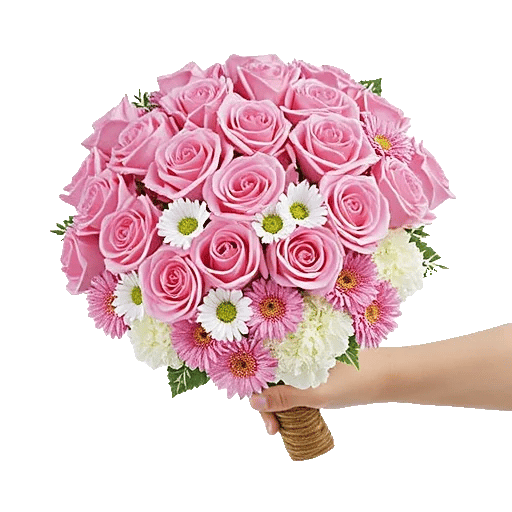 Pink Pastel Roses