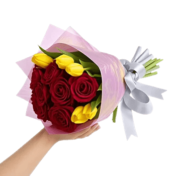 Crimson Rose Elegance