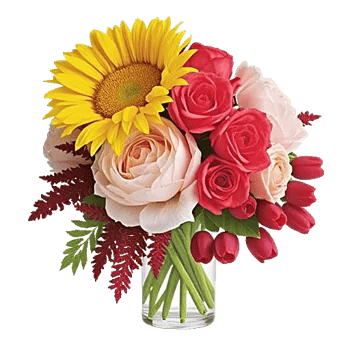 Petal Radiance Bliss