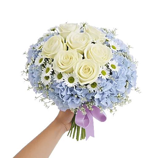 Serene Petal Harmony