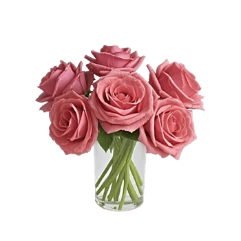 Radiant Rose Symphony