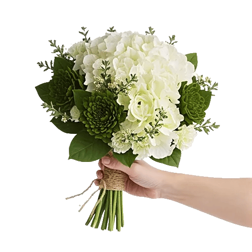 Ivory Blossom Radiance