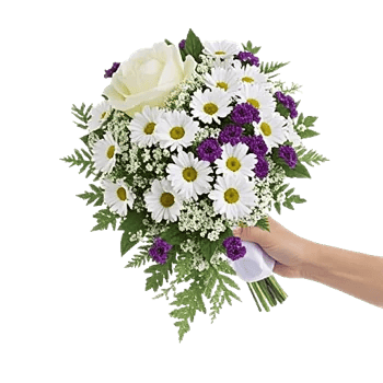 Delicate Petal Cascade