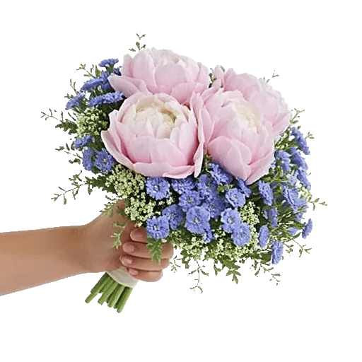 Peony Petal Harmony