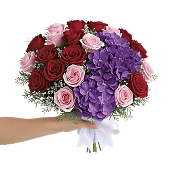 Crimson Rose Elegance