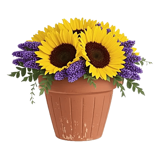 Amber Sunflower Glow