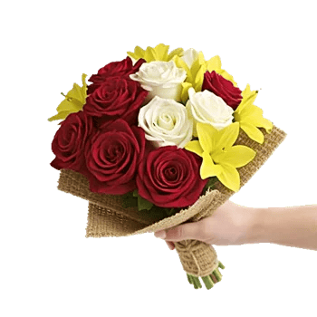 Crimson Rose Elegance