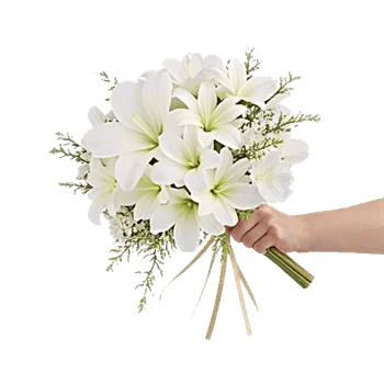 Minimalist White Orchids